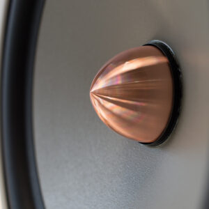 LS1be woofer detail